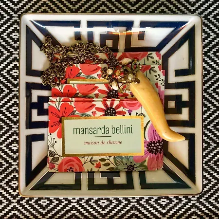 Mansarda Bellini 84 Pensión *